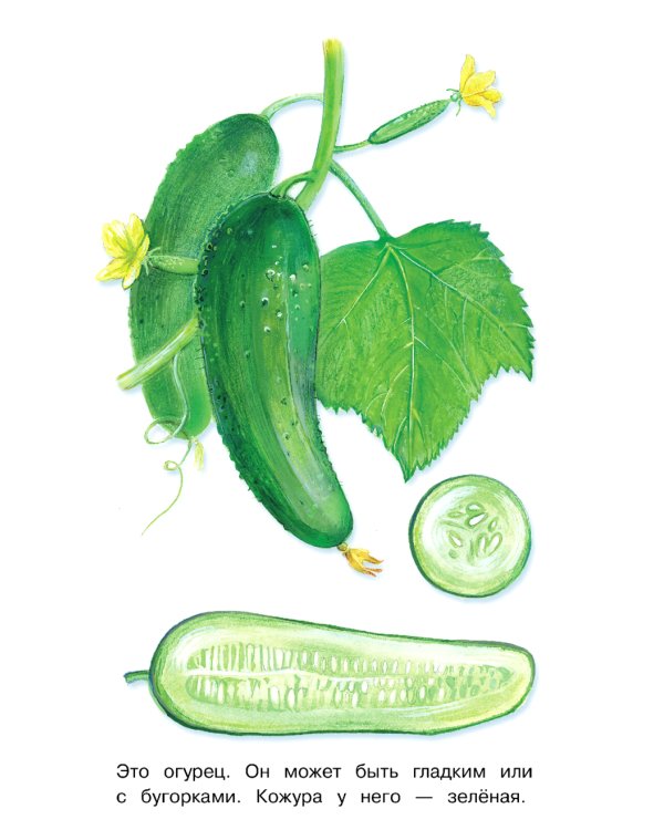 Овощи: раскраска