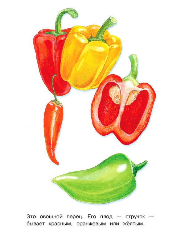 Овощи: раскраска