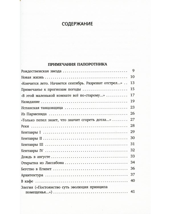 Пейзаж с наводнением: стихотворения