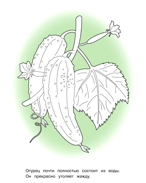 Овощи: раскраска