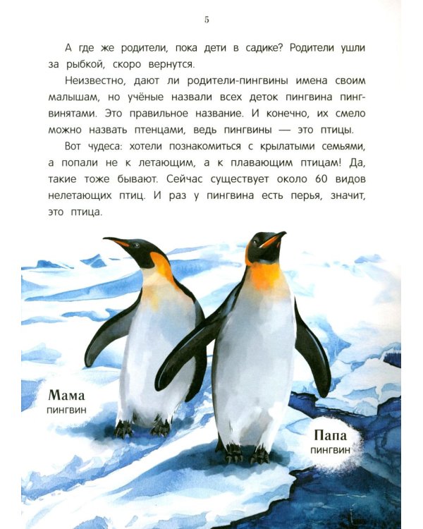 Павлиненок? Цыпленок! Крылатые семьи: факты и игры