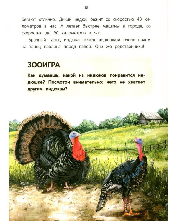 Павлиненок? Цыпленок! Крылатые семьи: факты и игры