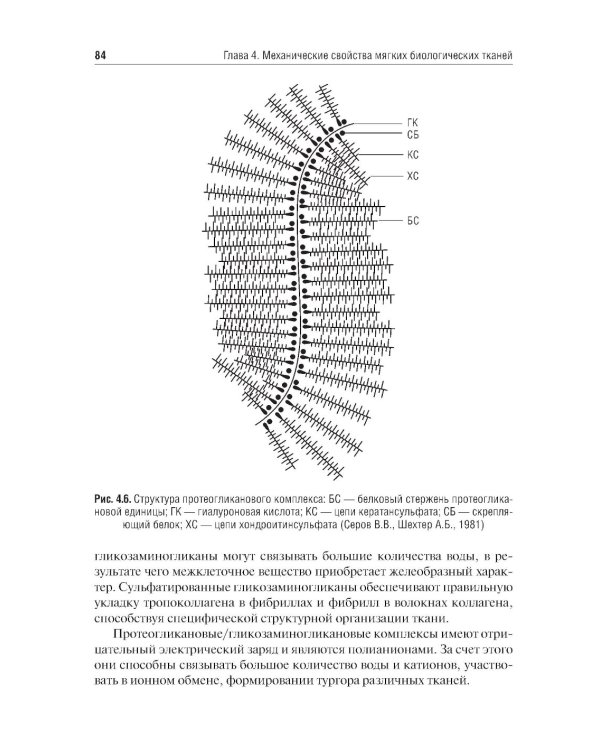 Биомеханика: Учебник