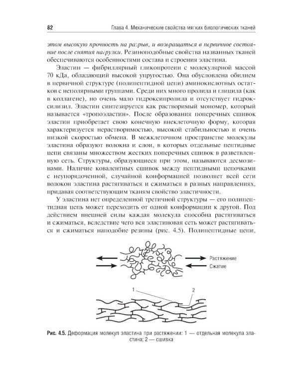 Биомеханика: Учебник