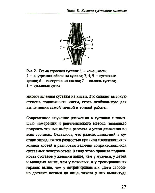 Как устроено тело человека. 2-е изд