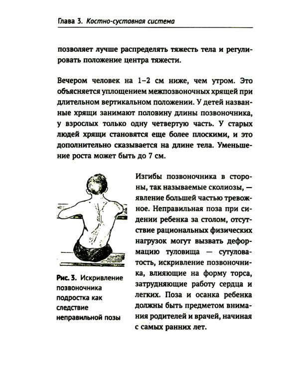 Как устроено тело человека. 2-е изд