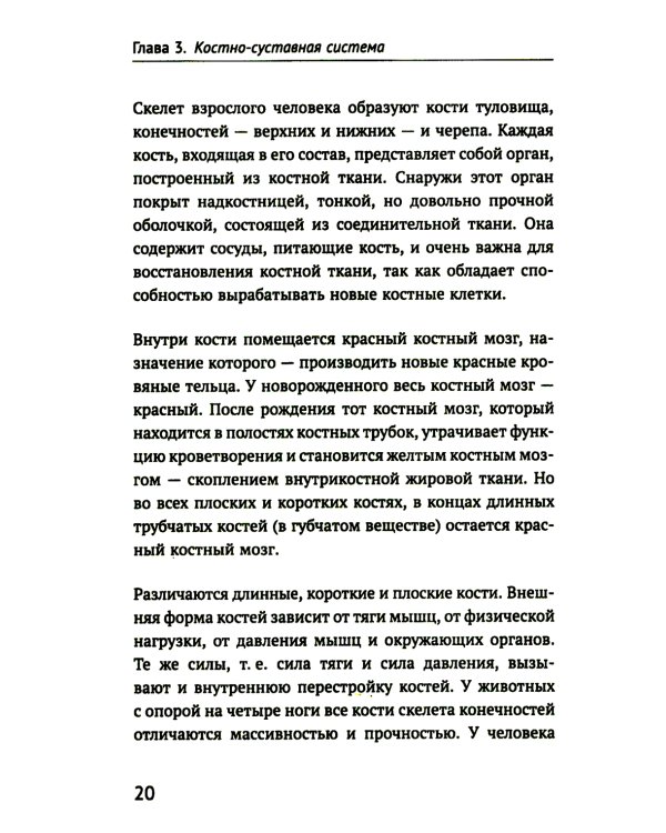 Как устроено тело человека. 2-е изд
