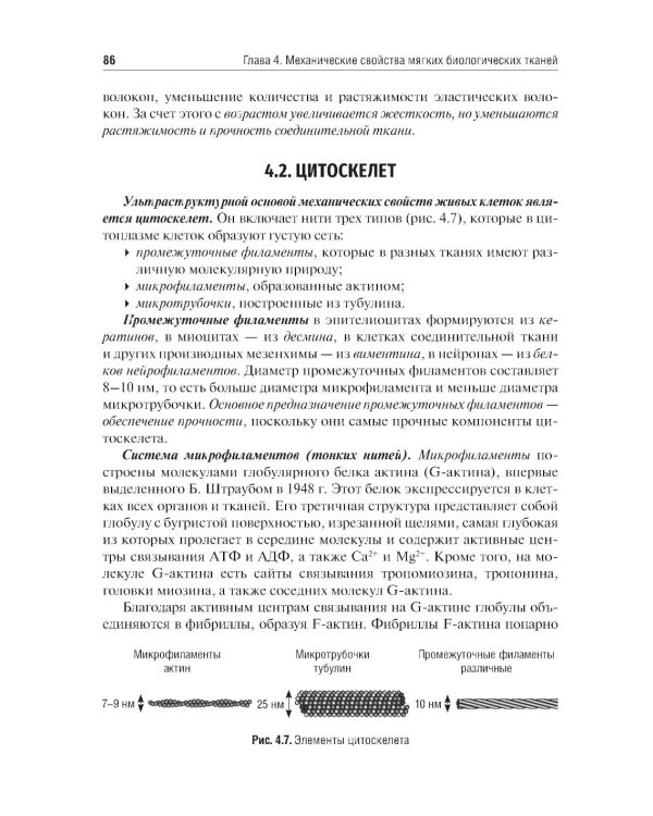Биомеханика: Учебник