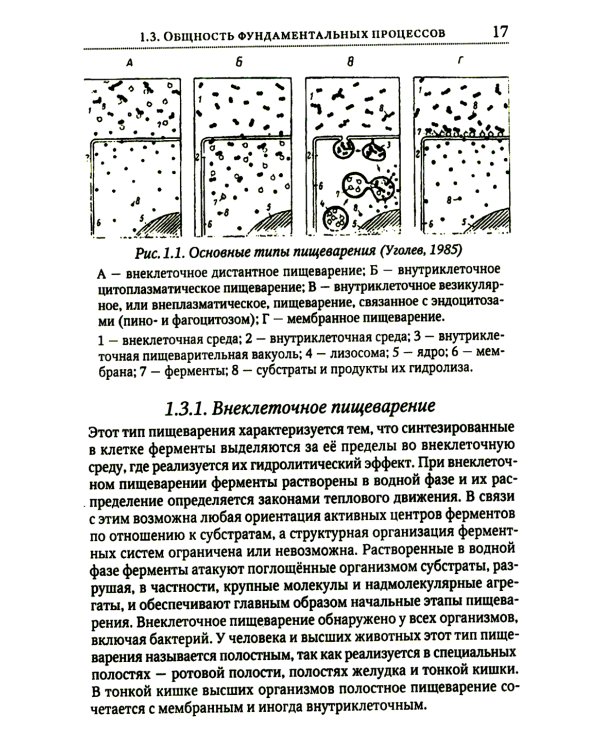 Теория адекватного питания и трофология
