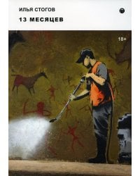 13 месяцев: роман