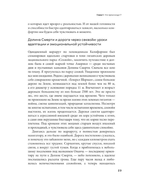 Гибкость как образ жизни: Практическое руководство по адаптивности
