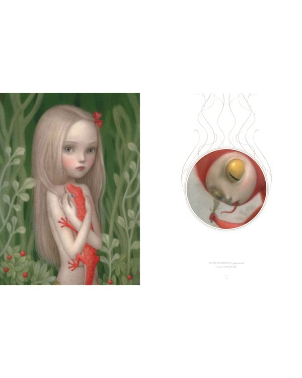 "Арт-буки" и Таро Николетты Чекколи