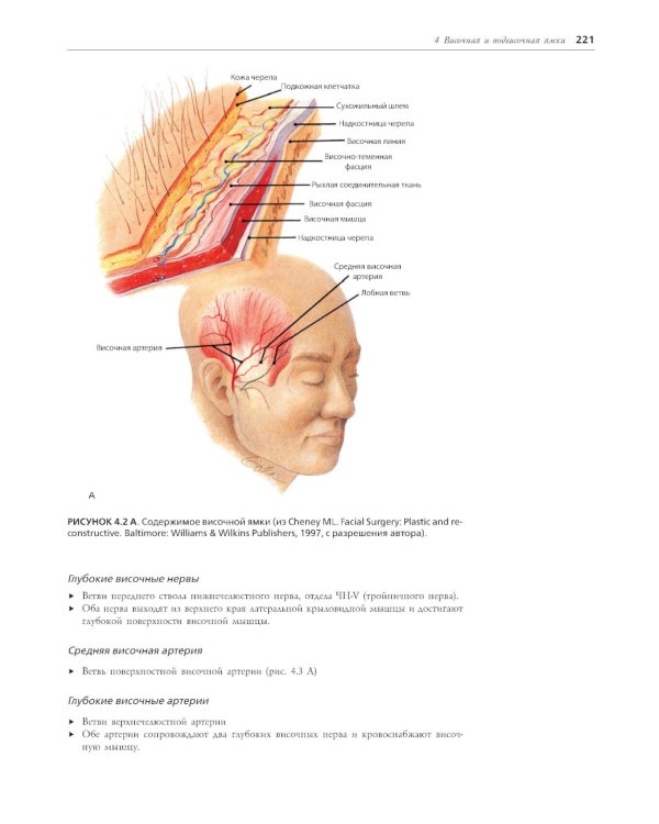 Хирургическая анатомия головы и шеи. В 2 ч (комплект из 2 кн)