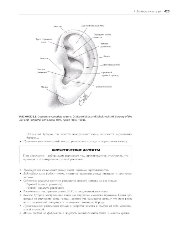 Хирургическая анатомия головы и шеи. В 2 ч (комплект из 2 кн)