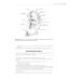 Хирургическая анатомия головы и шеи. В 2 ч (комплект из 2 кн) Хирургическая анатомия головы и шеи. В 2 ч (комплект из 2 кн)