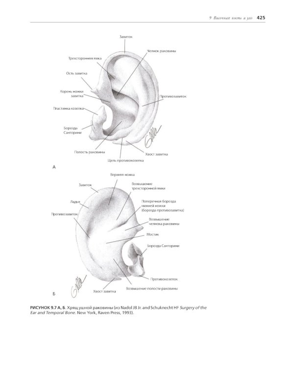 Хирургическая анатомия головы и шеи. В 2 ч (комплект из 2 кн)