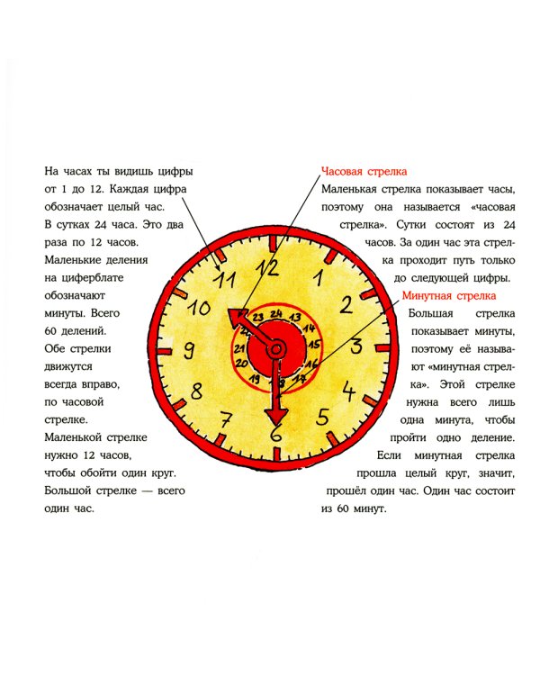 Конни учится определять время