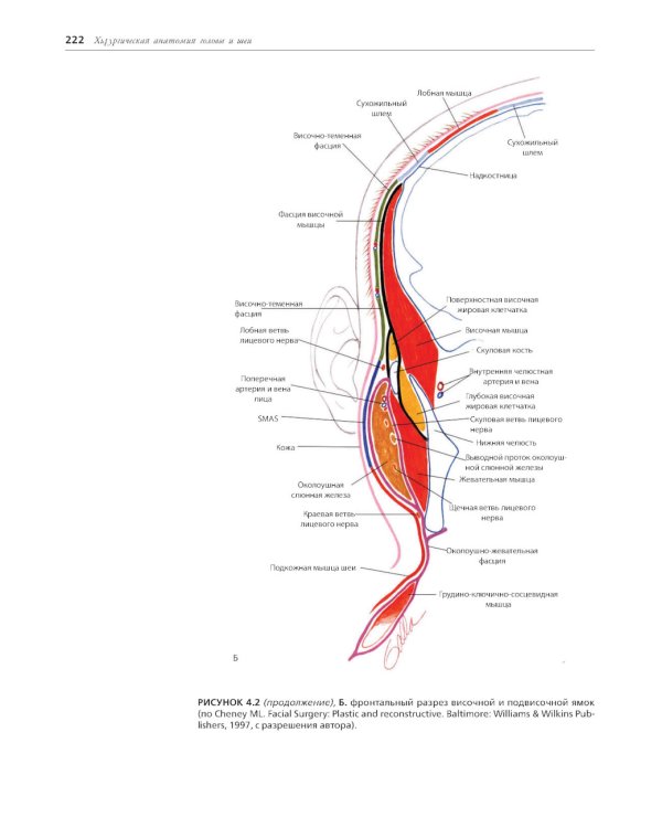 Хирургическая анатомия головы и шеи. В 2 ч (комплект из 2 кн)