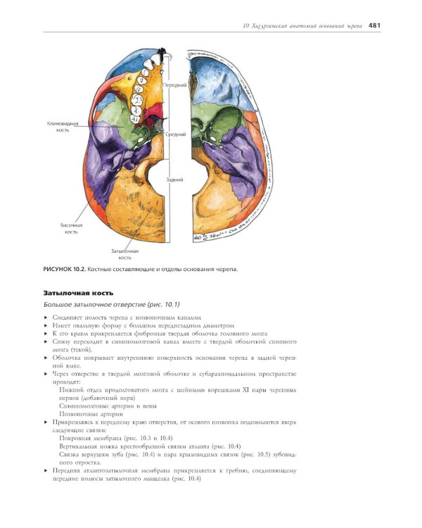 Хирургическая анатомия головы и шеи. В 2 ч (комплект из 2 кн)