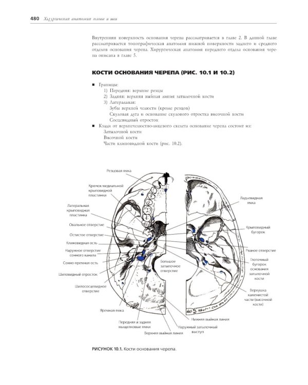 Хирургическая анатомия головы и шеи. В 2 ч (комплект из 2 кн)