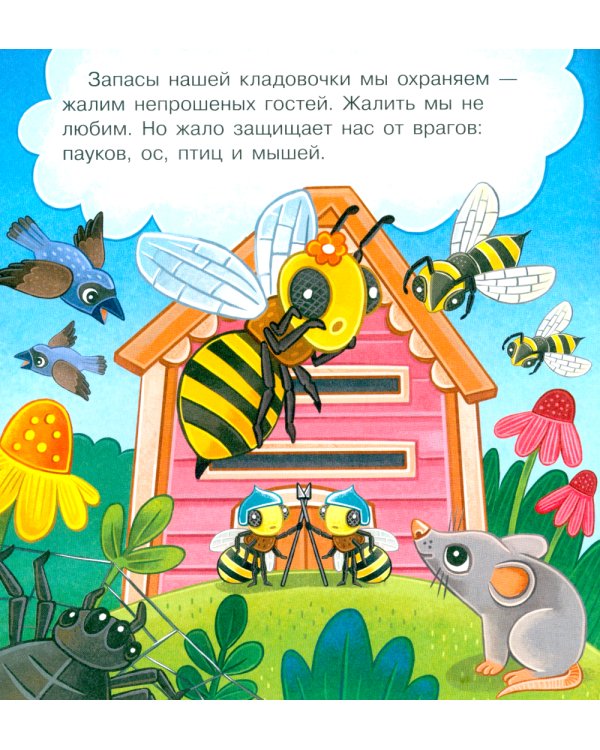В гостях у пчелки Жужи