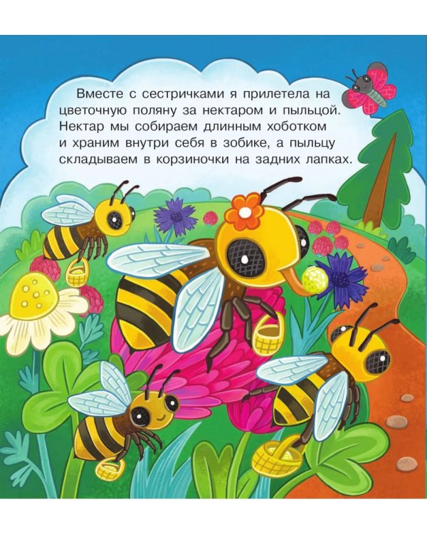 В гостях у пчелки Жужи