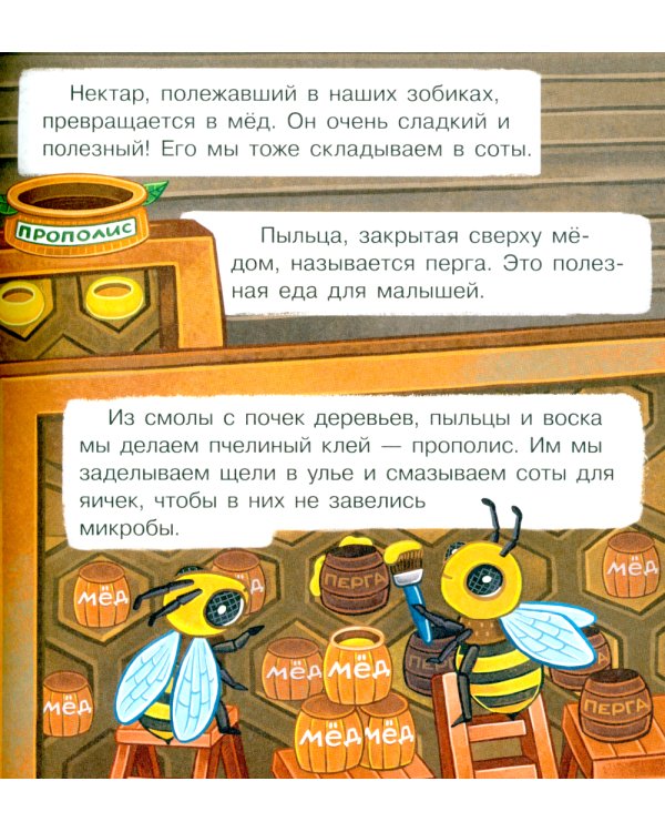 В гостях у пчелки Жужи