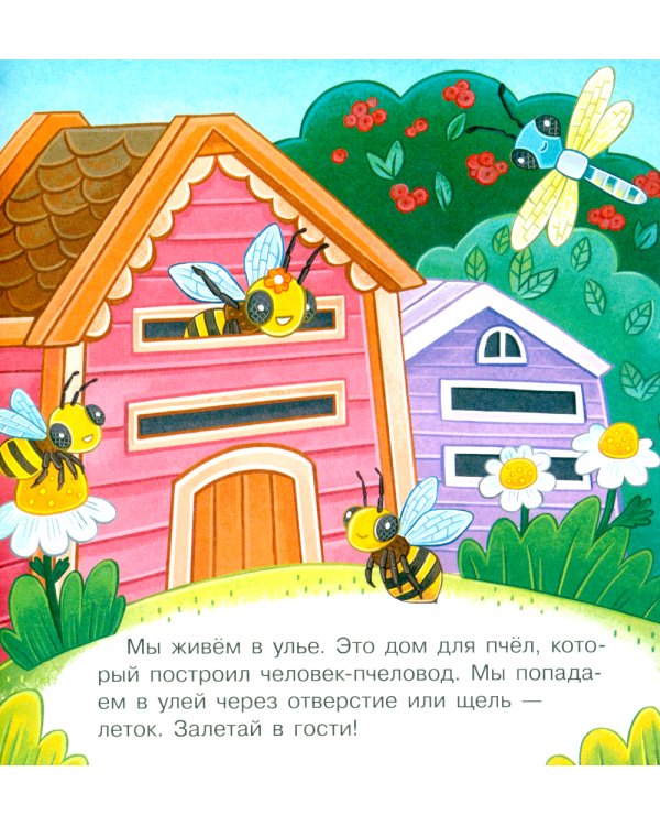 В гостях у пчелки Жужи