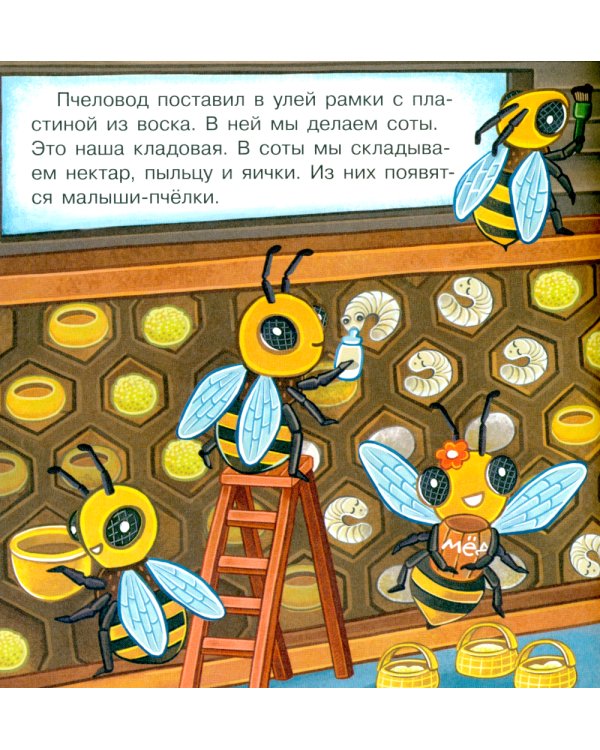 В гостях у пчелки Жужи