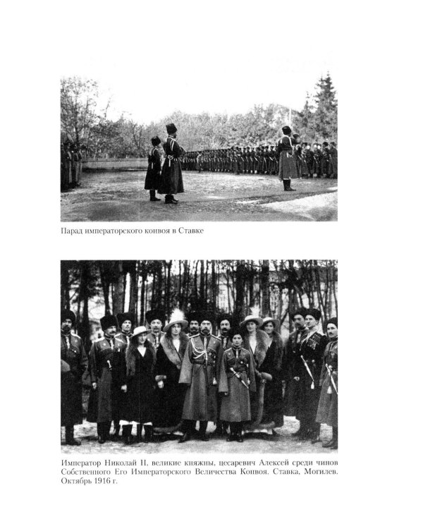 Письма императору Николаю II. Июль 1914 - декабрь 1916