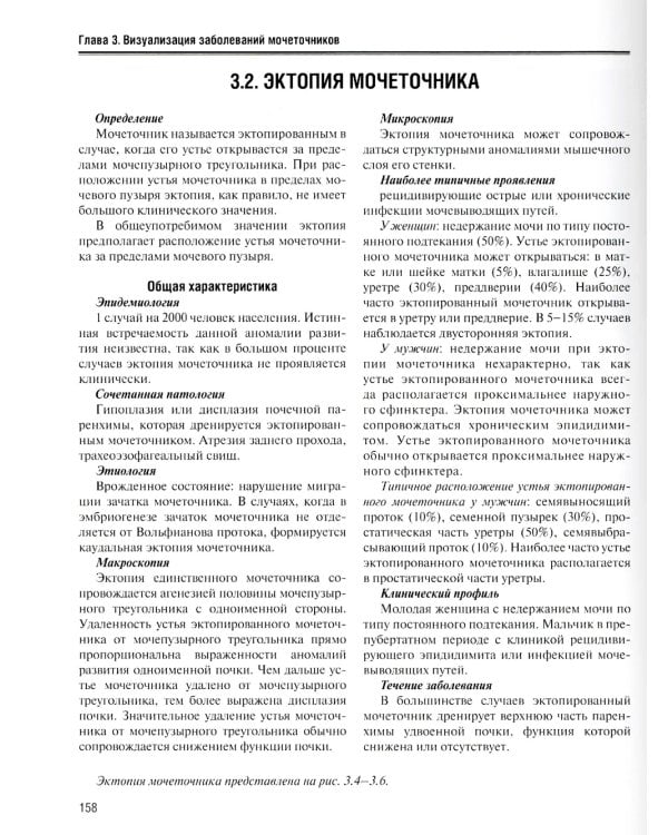 Визуализация заболеваний почек, мочеточников и мочевого пузыря: Учебное пособие