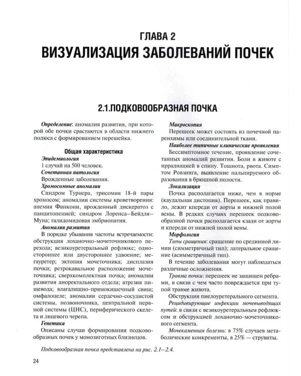 Визуализация заболеваний почек, мочеточников и мочевого пузыря: Учебное пособие