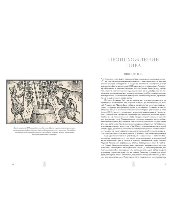 Маленькая книга гурмана. Пиво