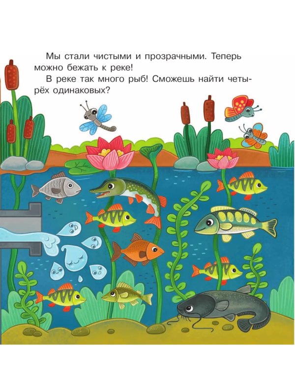 Удивительное путешествие Капельки с завитком