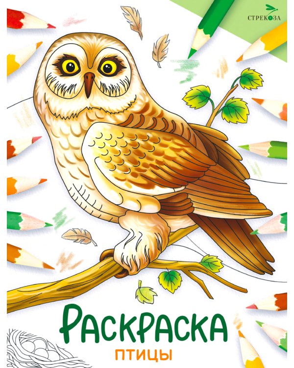 Птицы: раскраска