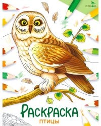 Птицы: раскраска