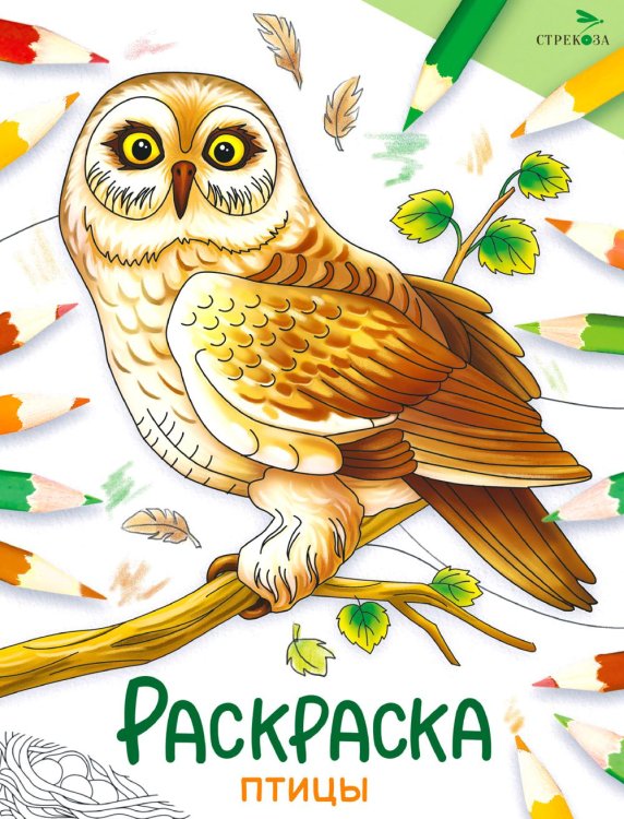 Окружающий мир. Раскраска Птицы: раскраска