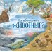 Где обитают животные?