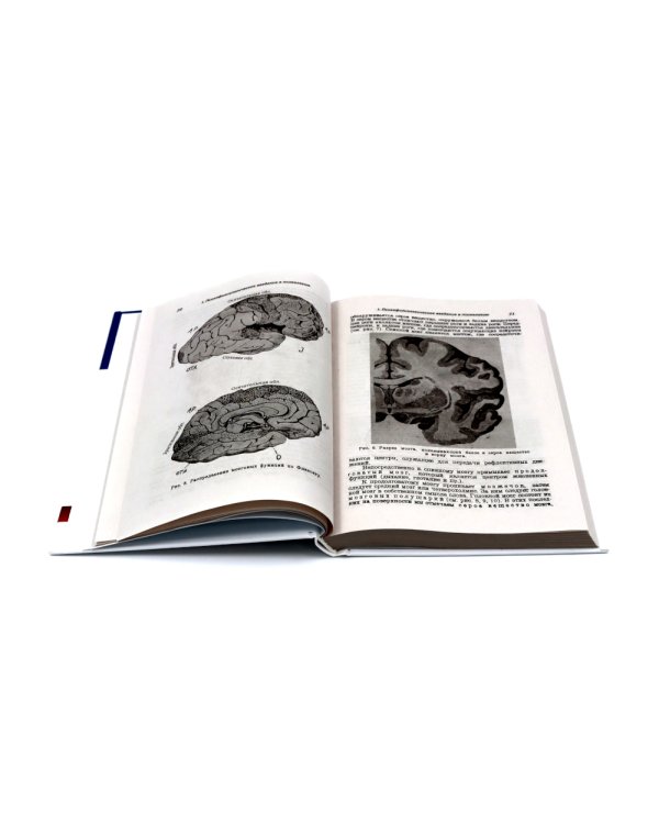 О памяти и мнемонике; Очерки психологии (комплект из 2-х книг)