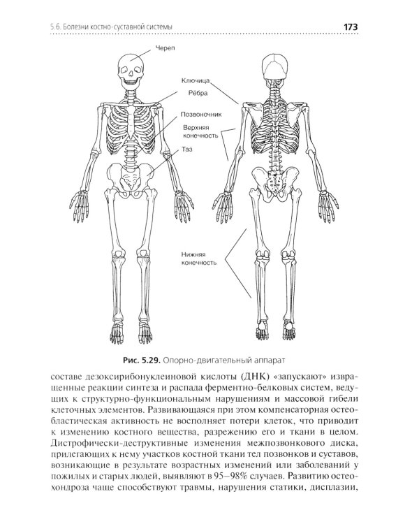 Лечение пациентов гериатрического профиля: учебное пособие