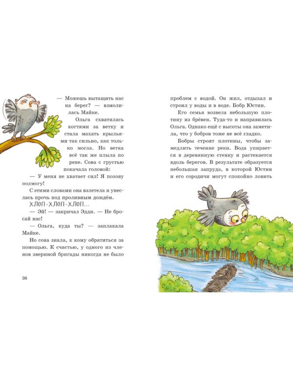 Дополнительное изображение книги «Енот против потопа»