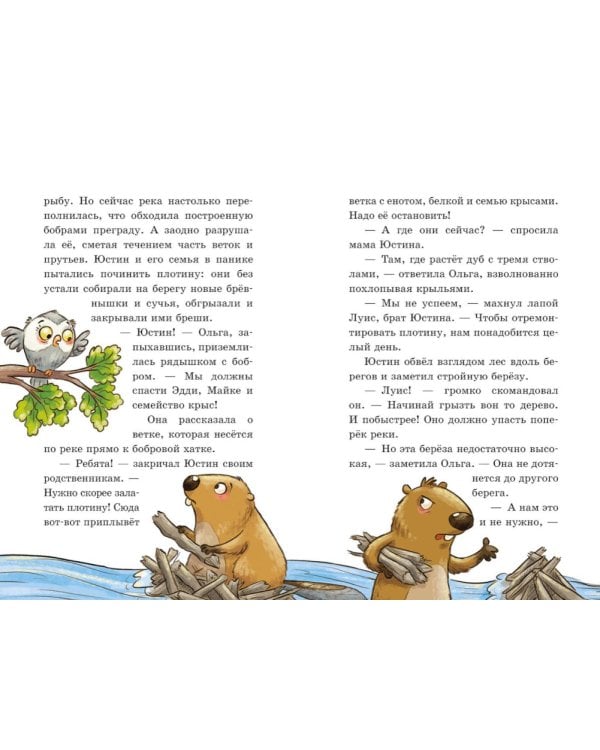 Дополнительное изображение книги «Енот против потопа»