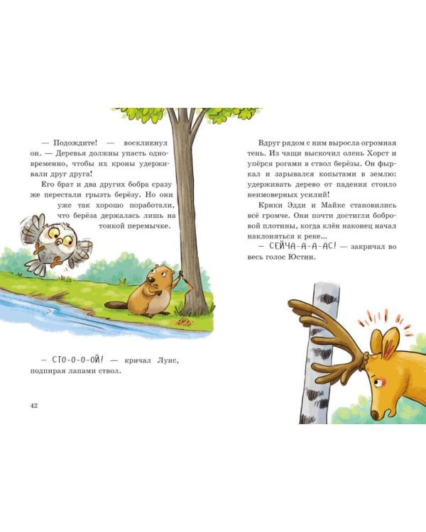 Дополнительное изображение книги «Енот против потопа»