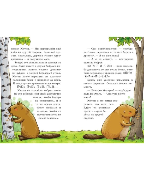 Дополнительное изображение книги «Енот против потопа»