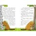Дополнительное изображение книги «Енот против потопа»