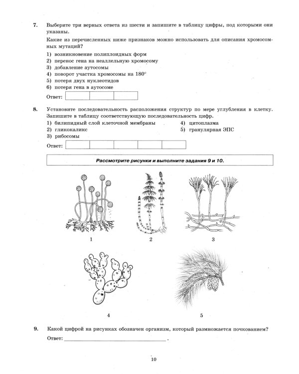ЕГЭ 2025. Биология. 12 вариантов. Типовые варианты экзаменационных заданий