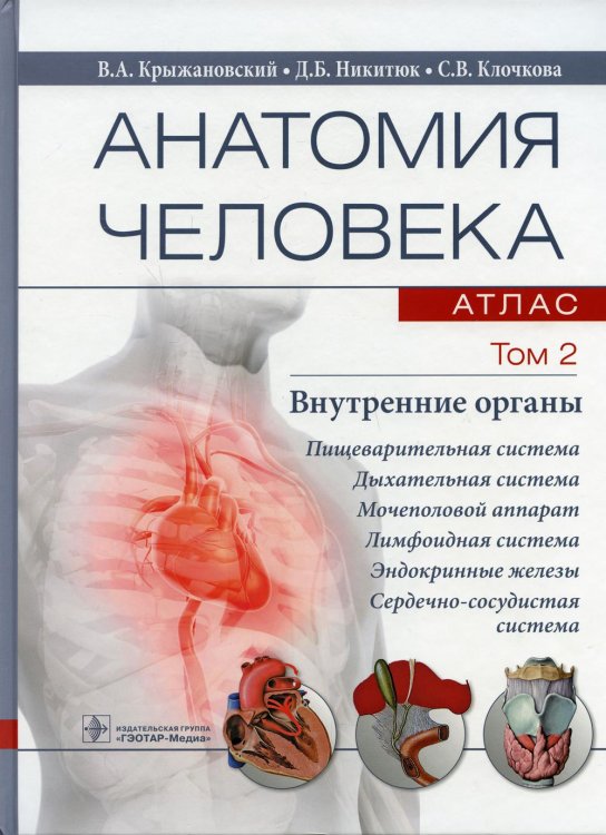 Анатомия человека. Атлас. В 3 т. Т. 2: Внутренние органы: Учебное пособие Анатомия человека. Атлас. В 3 т. Т. 2: Внутренние органы: Учебное пособие