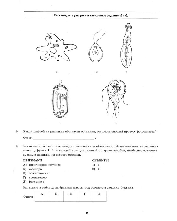 ЕГЭ 2025. Биология. 12 вариантов. Типовые варианты экзаменационных заданий