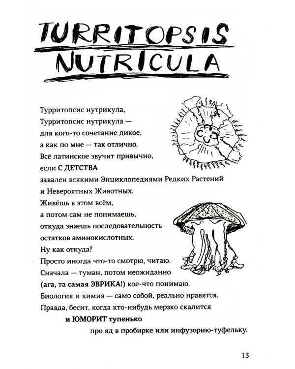 Сенсор: роман