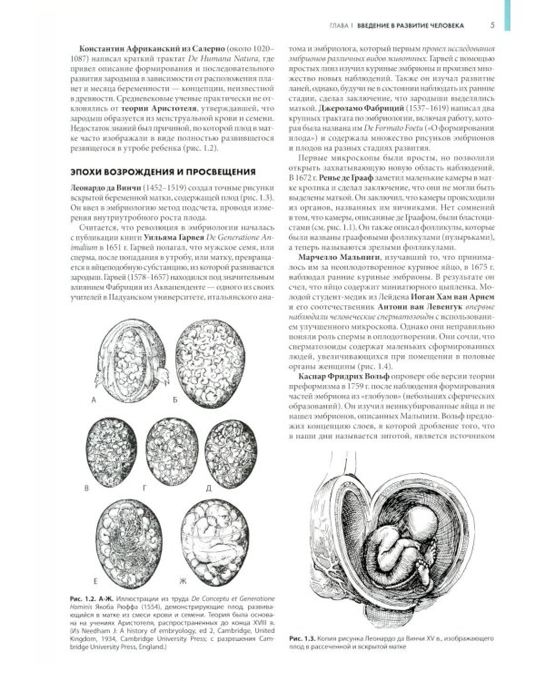 Клиническая эмбриология. Внутриутробное развитие человека. 11-е изд